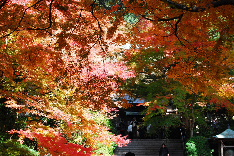 大興善寺の紅葉（基山町）